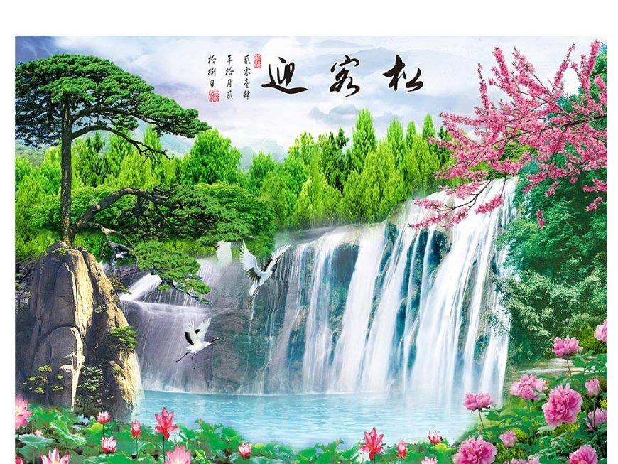 白孔雀救援